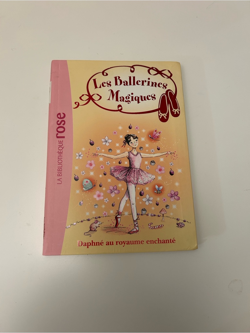 Les Ballerines Magiques Children’s Book - FRENCH